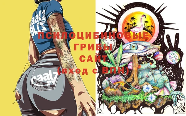 мдпв Семикаракорск