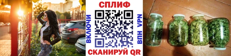 Купить  Ахтырский  Шишки марихуана SATIVA & INDICA 